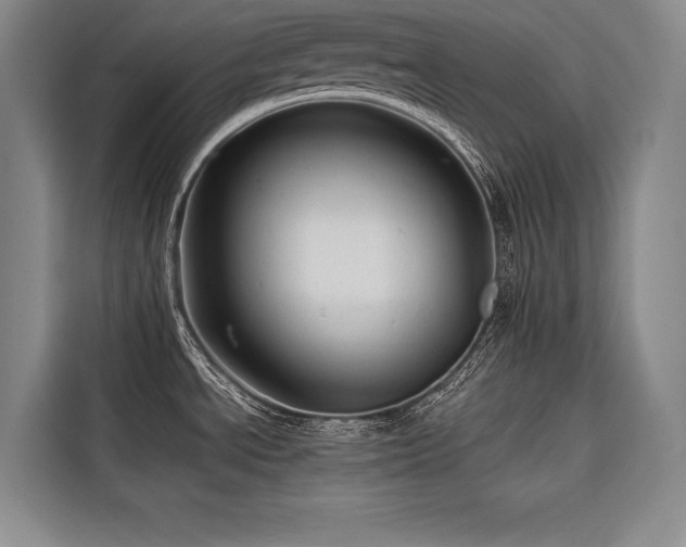 X0000116681534200912141422