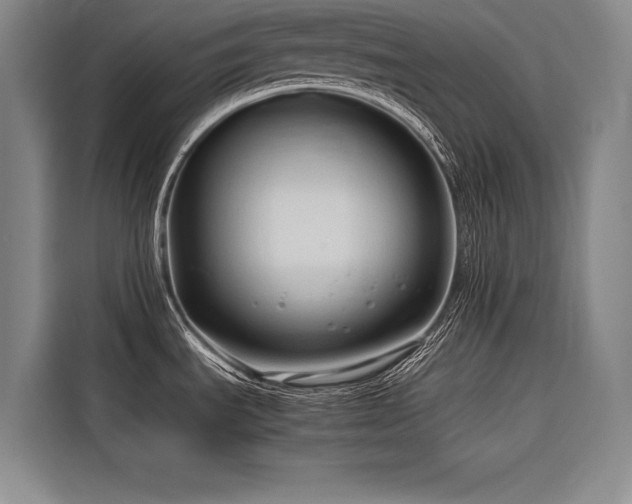 X0000116681535200912141422