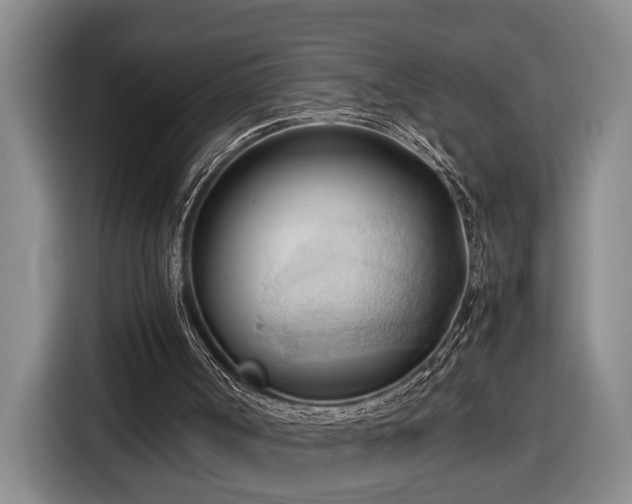 X0000116680002200912211633