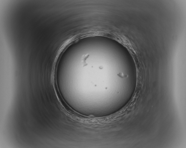 X0000116680003200912211633