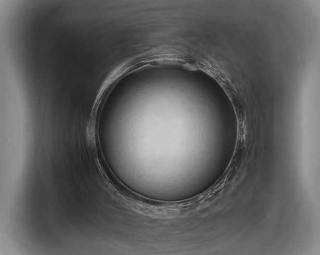 X0000116680004200912211633