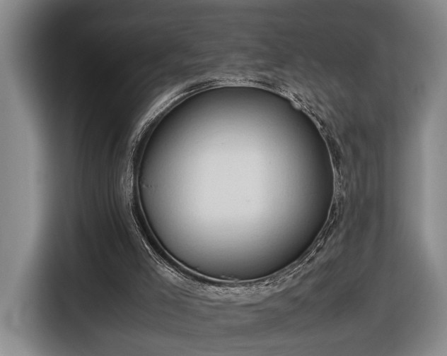 X0000116680005200912211633