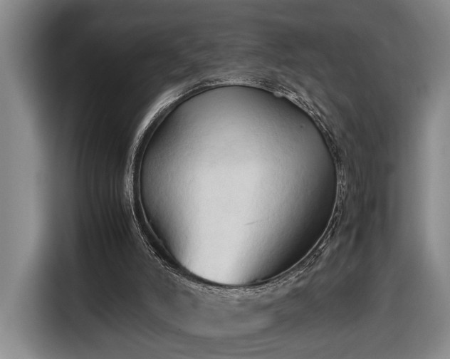 X0000116680006200912211633