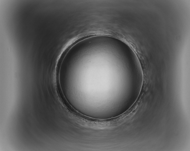 X0000116680008200912211633