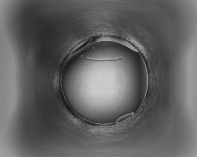 X0000116680009200912211633