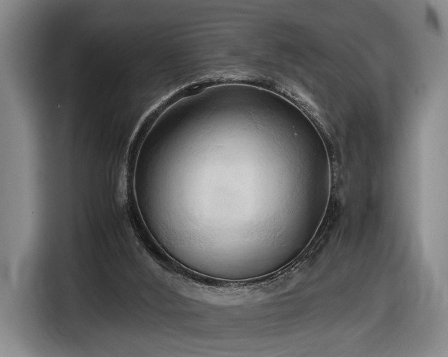 X0000116680012200912211633