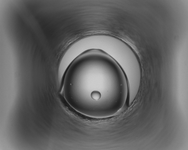 X0000116680013200912211633