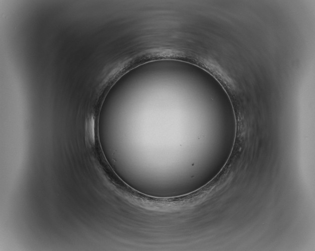 X0000116680014200912211633