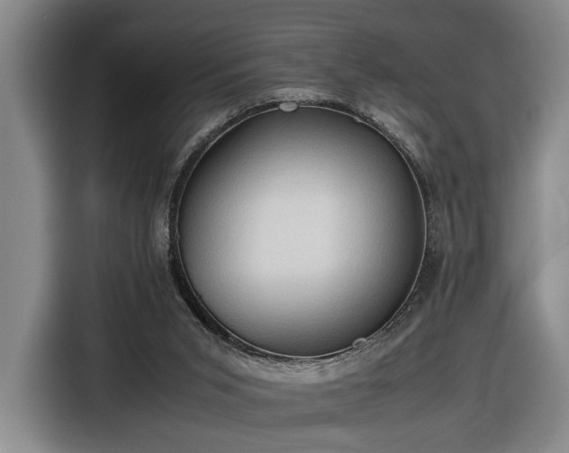 X0000116680015200912211633