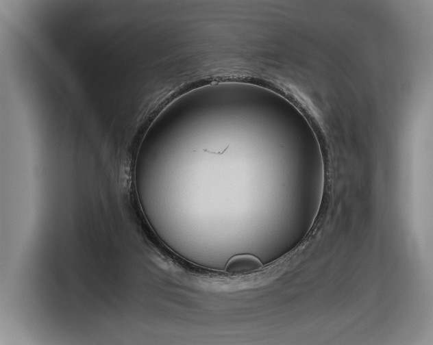 X0000116680017200912211633