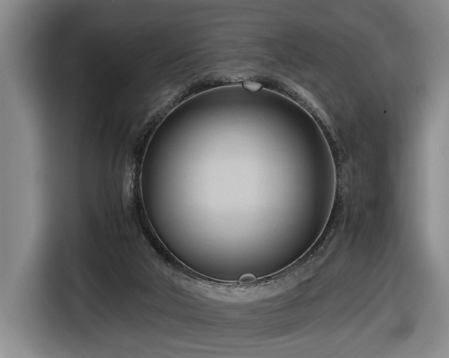 X0000116680018200912211633