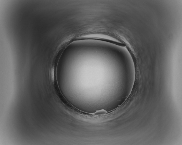 X0000116680019200912211633