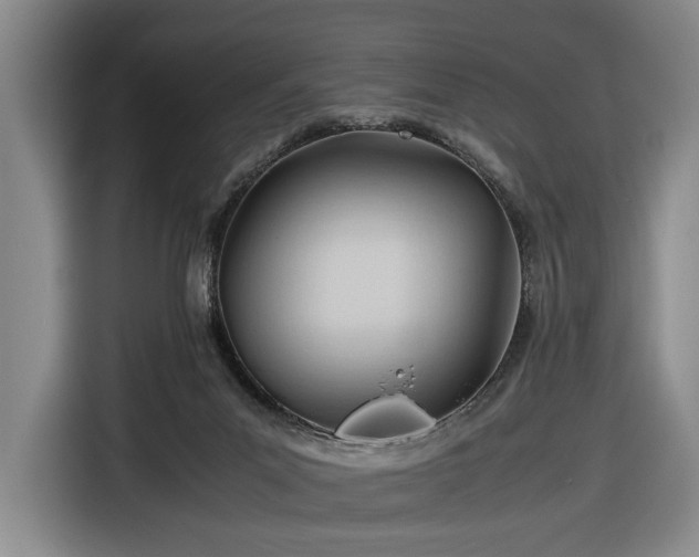 X0000116680023200912211633