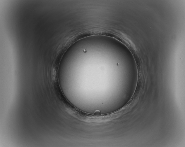 X0000116680025200912211632