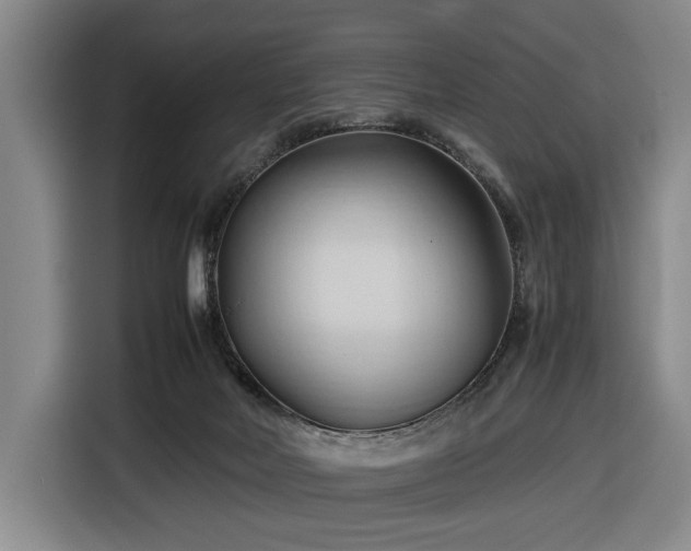 X0000116680026200912211632