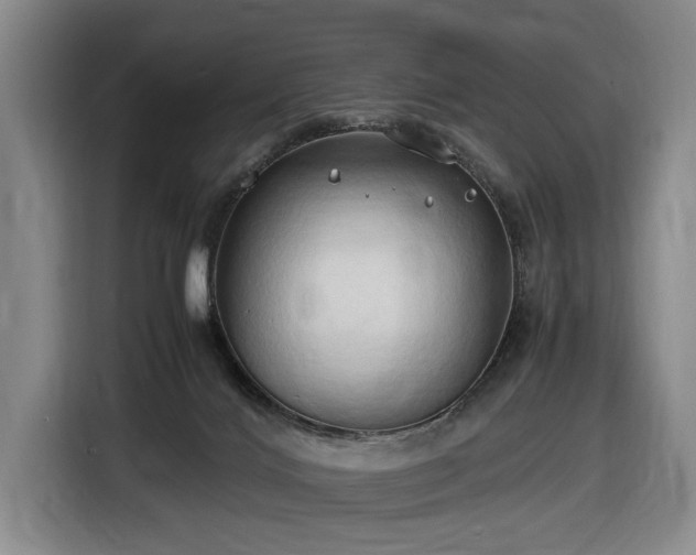 X0000116680028200912211632