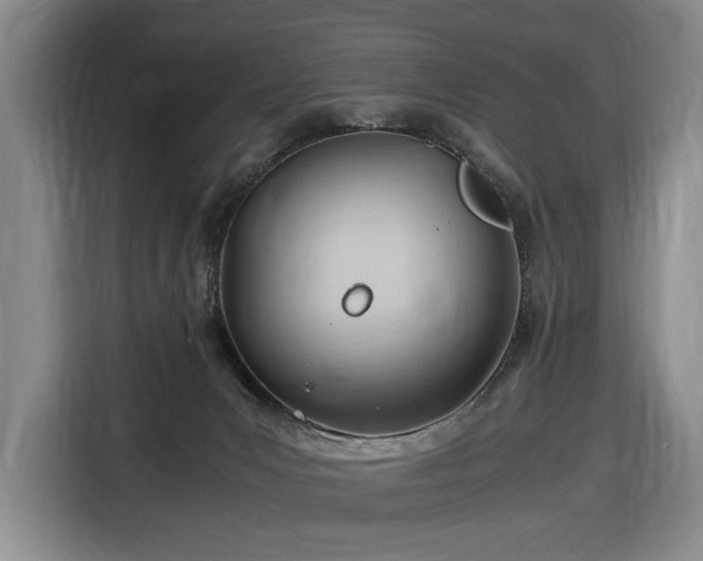 X0000116680031200912211632