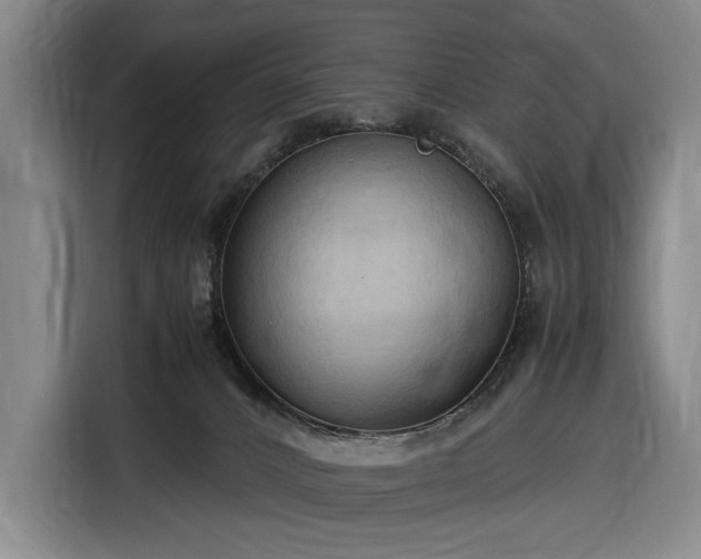 X0000116680032200912211632