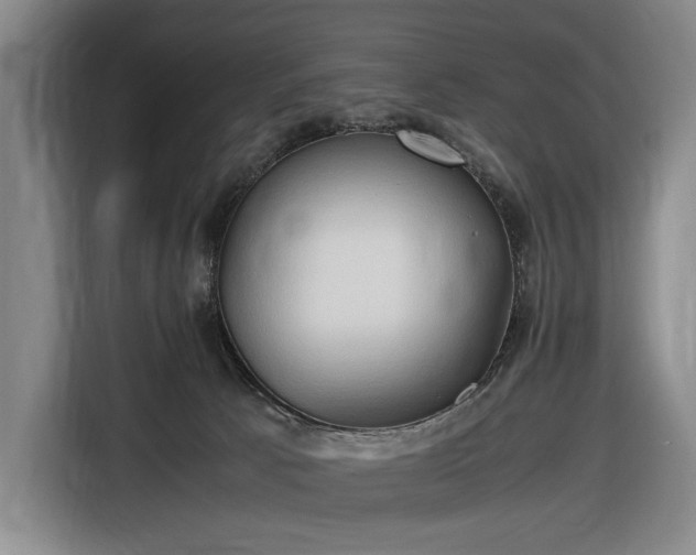 X0000116680033200912211632