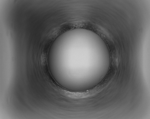 X0000116680034200912211632