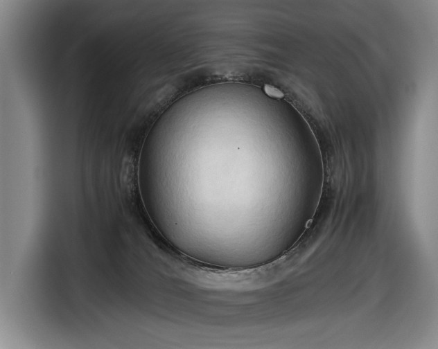 X0000116680036200912211632