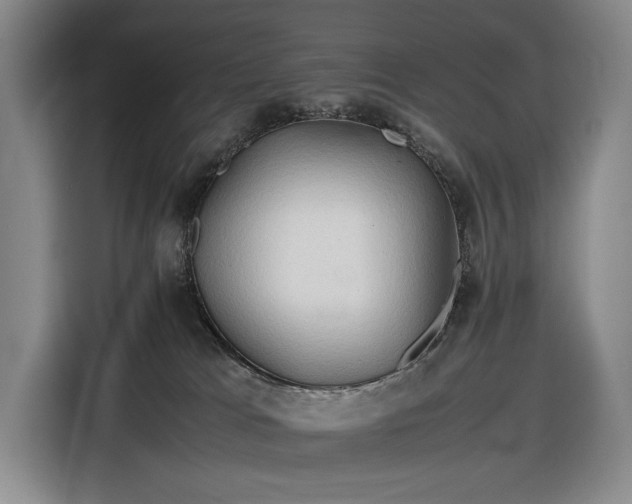 X0000116680037200912211632