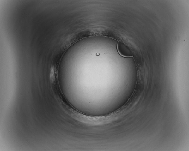 X0000116680038200912211632