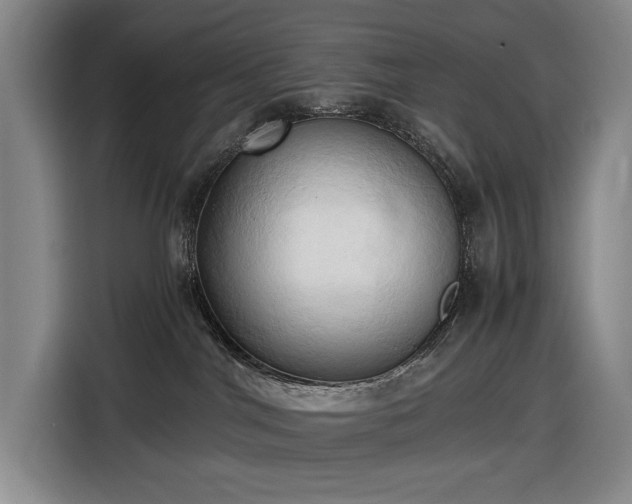 X0000116680044200912211632