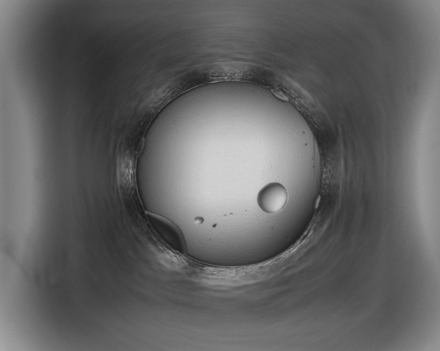 X0000116680045200912211632