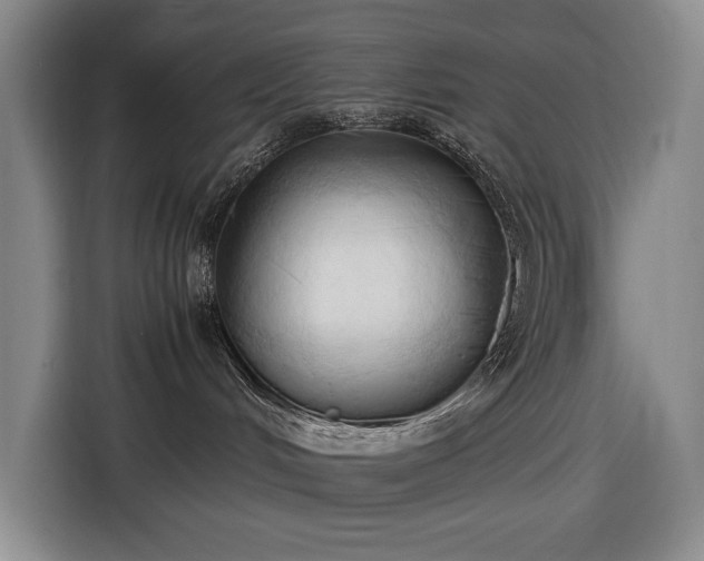 X0000116680048200912211632