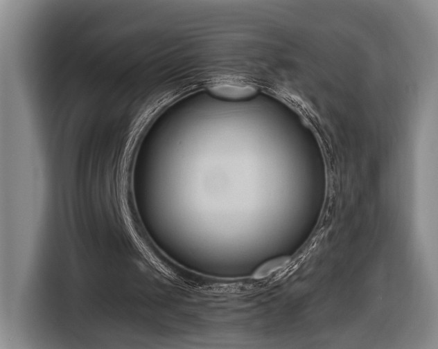 X0000116680049200912211632