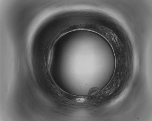 X0000116680050200912211632