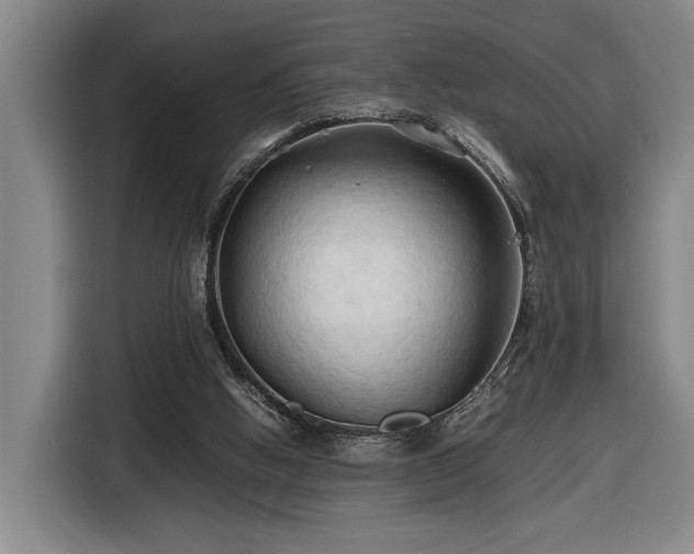 X0000116680058200912211632