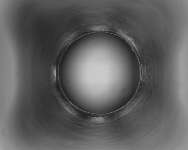 X0000116680061200912211632