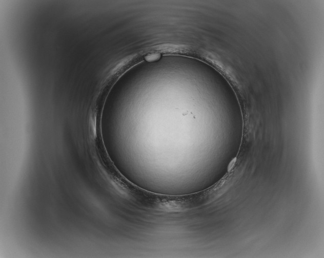 X0000116680062200912211632