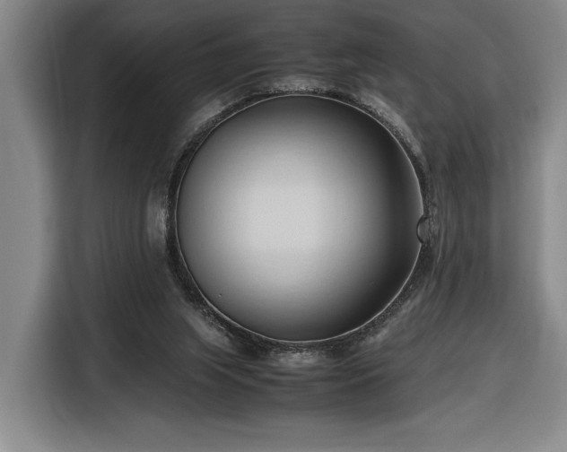 X0000116680063200912211632