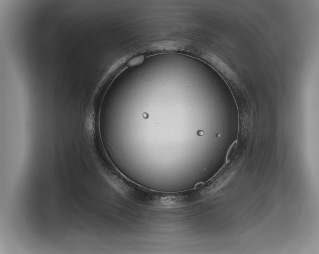 X0000116680064200912211632