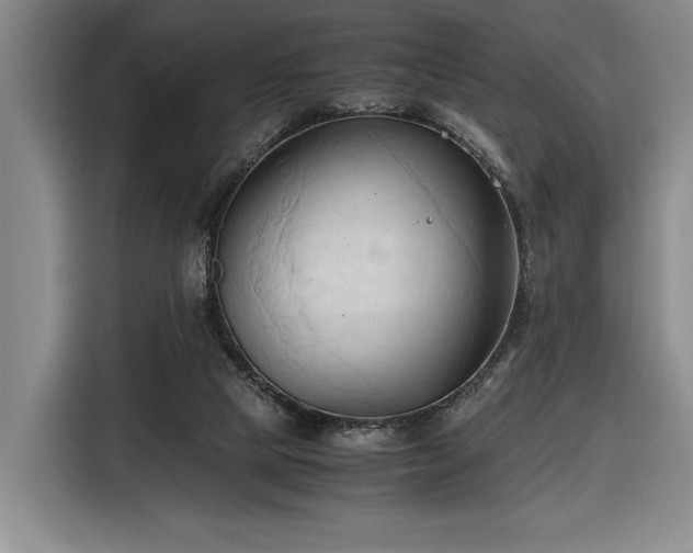 X0000116680065200912211632