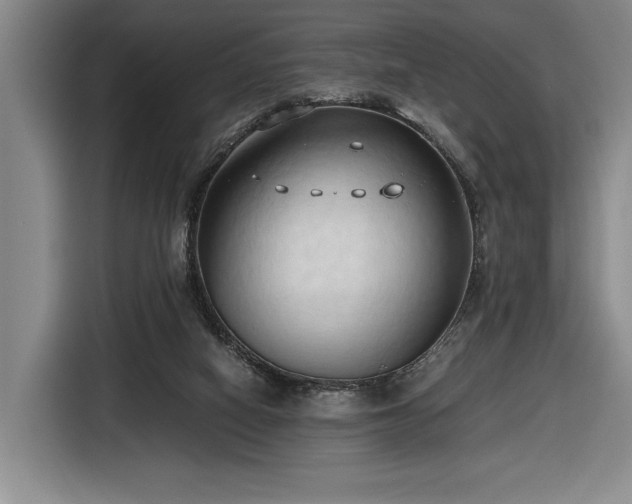 X0000116680066200912211632