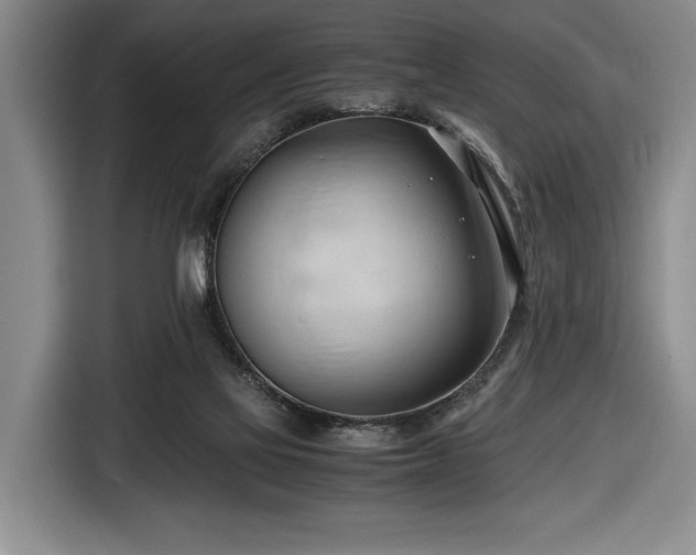 X0000116680069200912211632