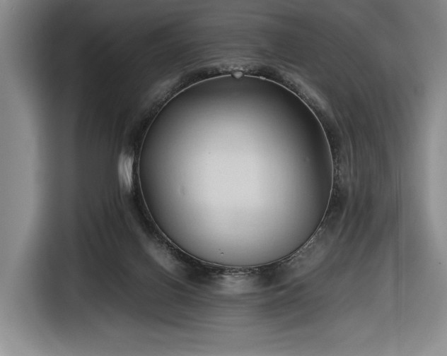 X0000116680070200912211632