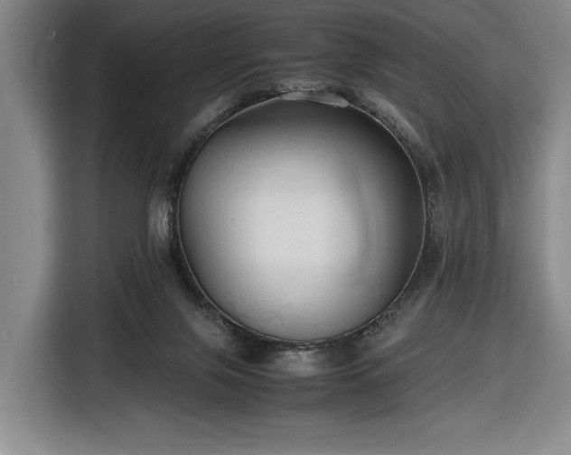 X0000116680071200912211632