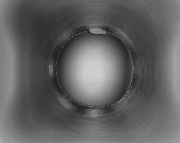 X0000116680074200912211632