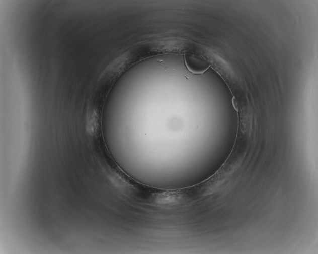 X0000116680077200912211632