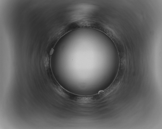 X0000116680081200912211632