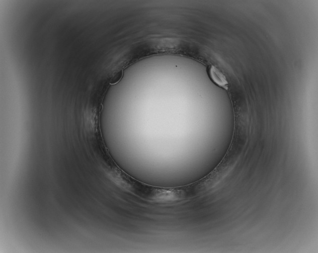 X0000116680083200912211632