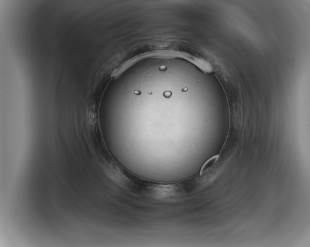 X0000116680085200912211632