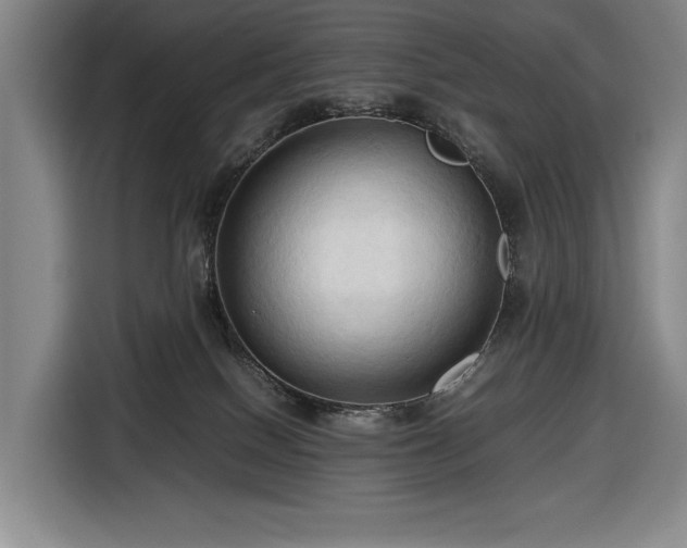 X0000116680086200912211632