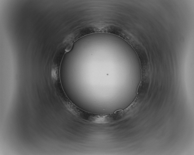 X0000116680090200912211632