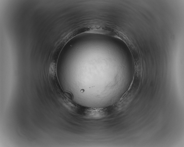 X0000116680093200912211632